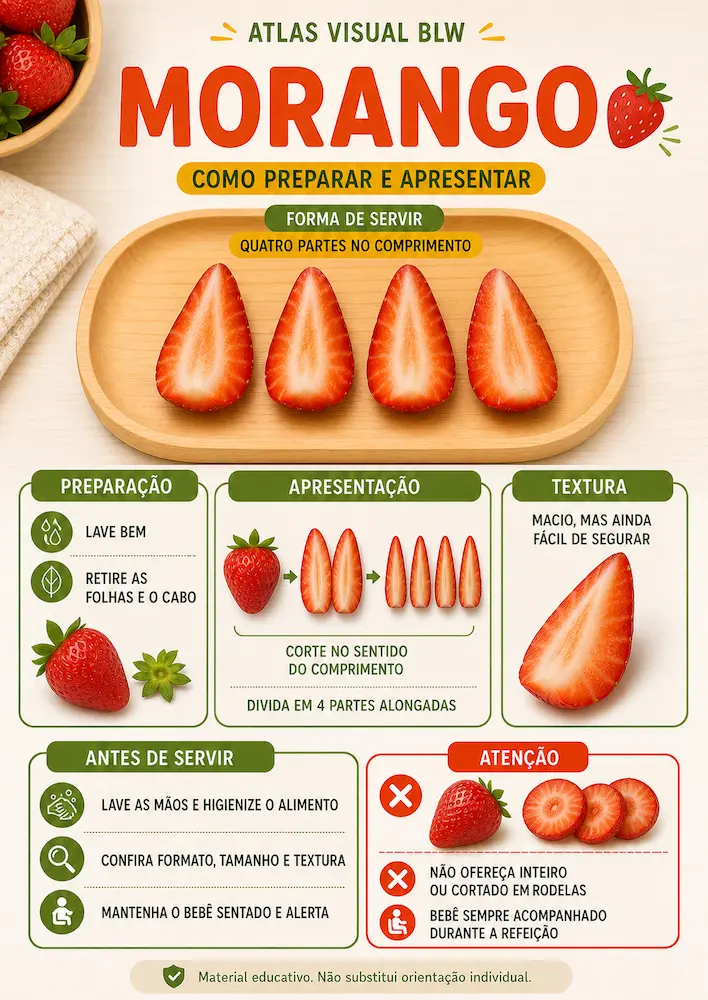 Página 4 do produto Atlas Visual BLW